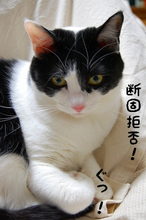 c0181639_23441346.jpg