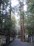 f0214139_17422381.jpg