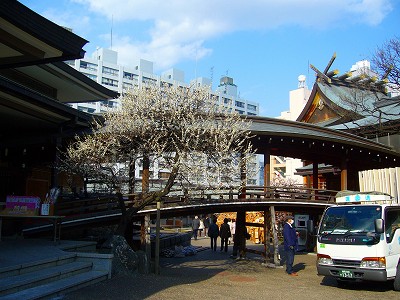 f0130642_21485117.jpg