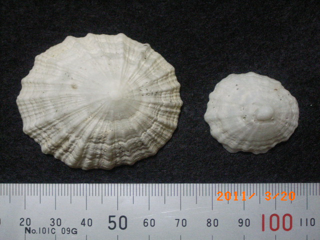 a0157451_21494517.jpg