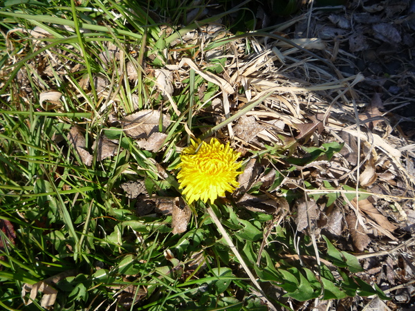 a0157156_23182876.jpg