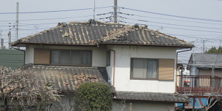 a0021558_15295659.jpg