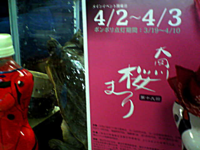 a0038663_0261013.jpg