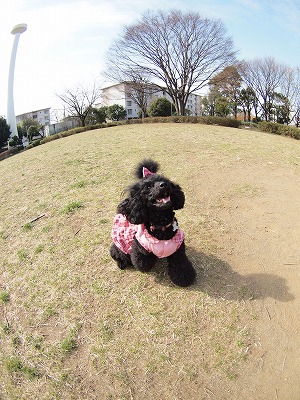 b0180764_1350387.jpg