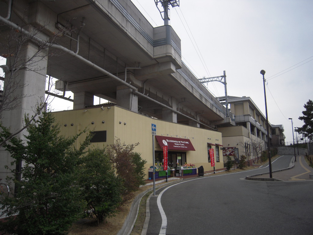 d0083265_21531364.jpg