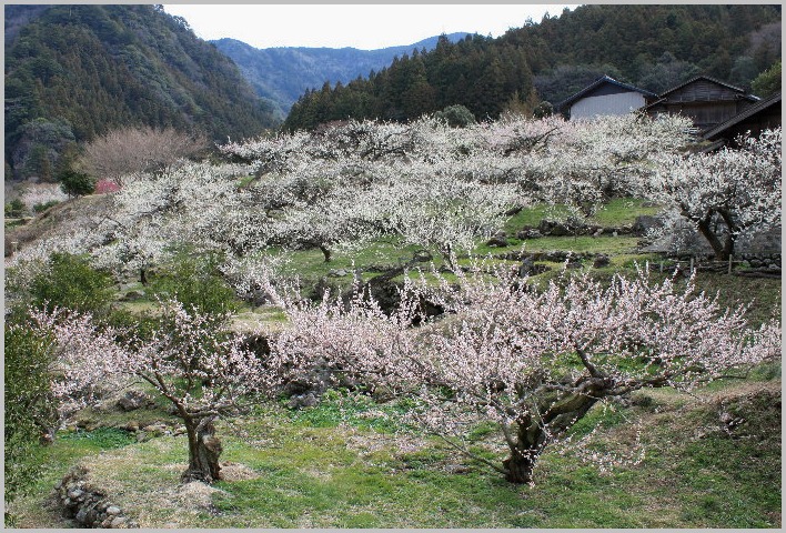 f0181173_1414349.jpg