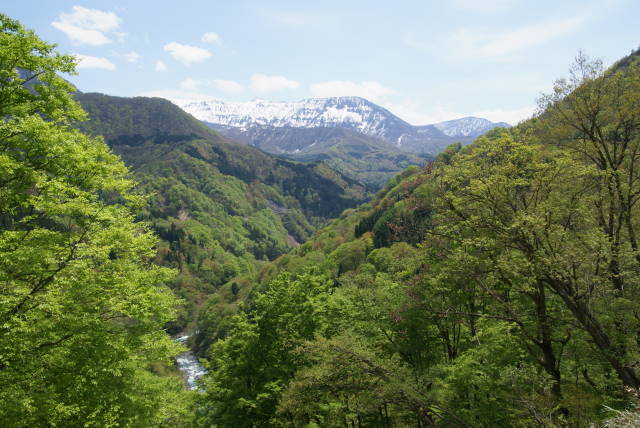 a0113874_22431136.jpg