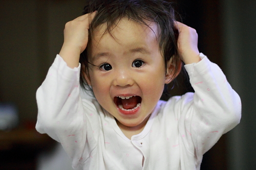 a0026380_1432065.jpg