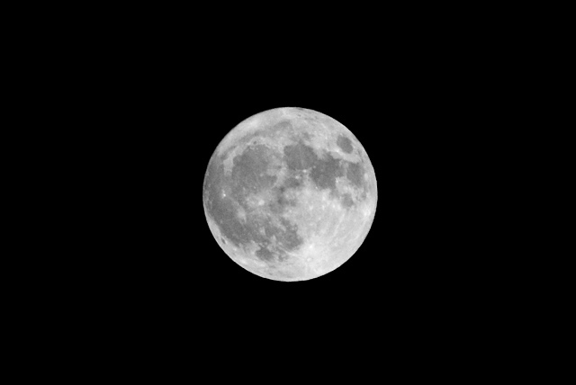 b0067789_0452514.jpg