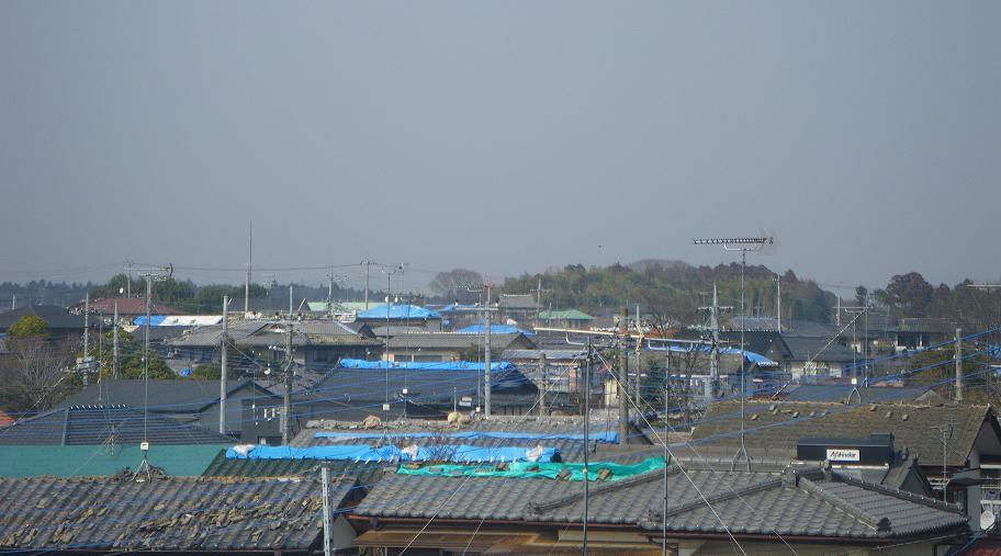 a0147391_1423263.jpg