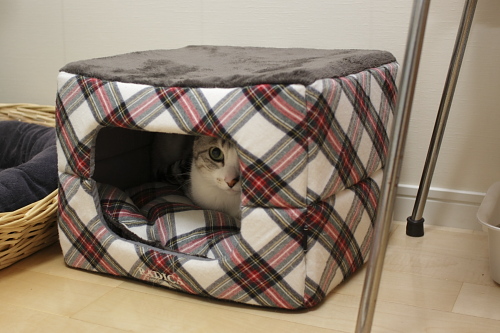 つまんないなぁ