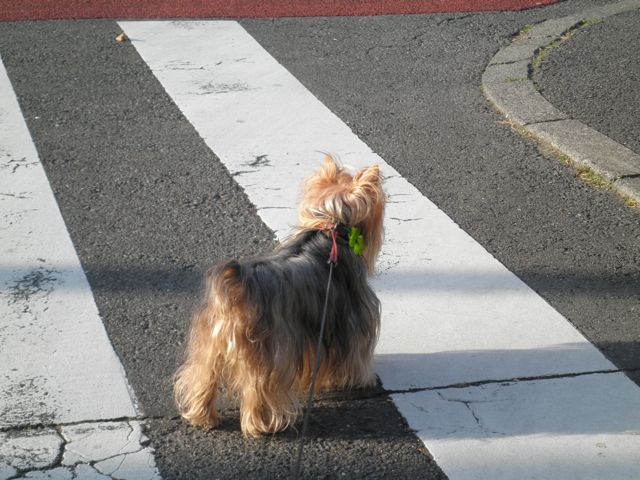 f0130894_23114553.jpg