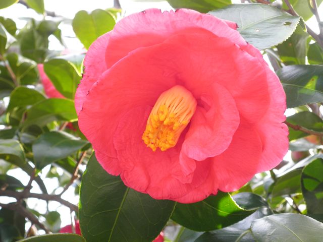f0130894_2363227.jpg