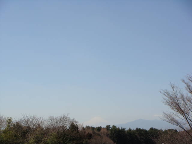d0098295_23121168.jpg