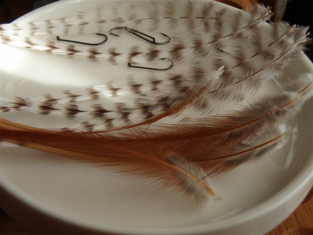 c0177497_19382950.jpg