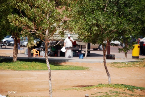 f0053297_1341364.jpg