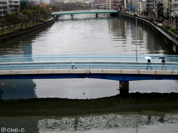 a0154706_212342100.jpg