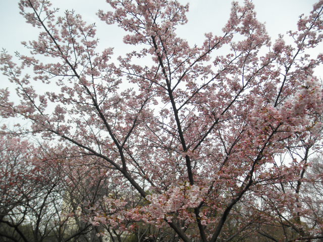 c0152507_5501138.jpg