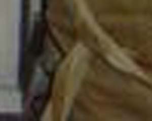e0103408_13361740.jpg
