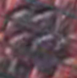 e0103408_1472185.jpg