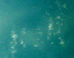e0103408_18273915.jpg