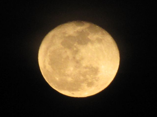 f0198909_15113081.jpg