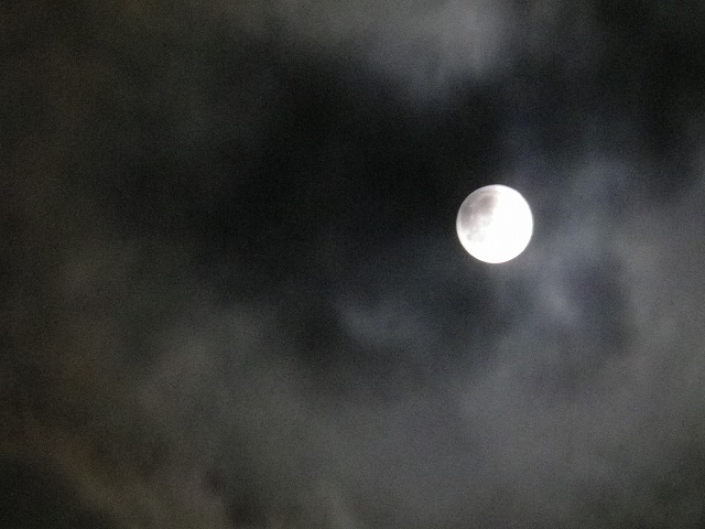 f0129610_20492139.jpg