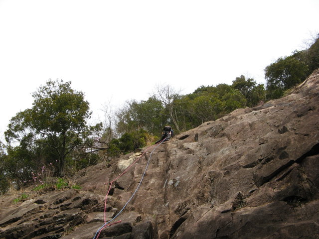 d0006512_8574554.jpg