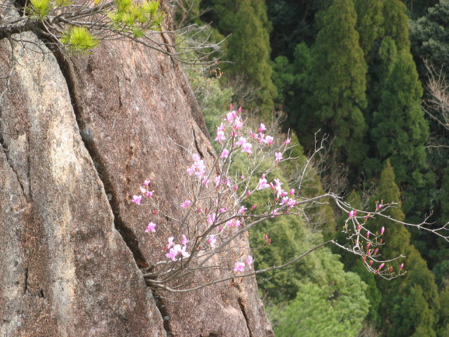 d0006512_923733.jpg