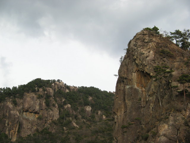d0006512_943739.jpg