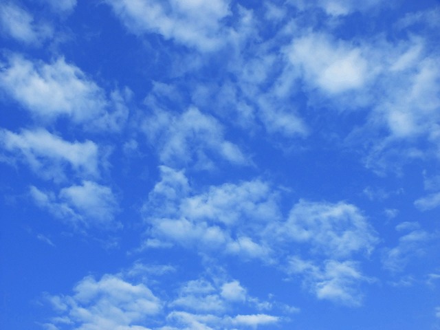 b0177816_14232350.jpg
