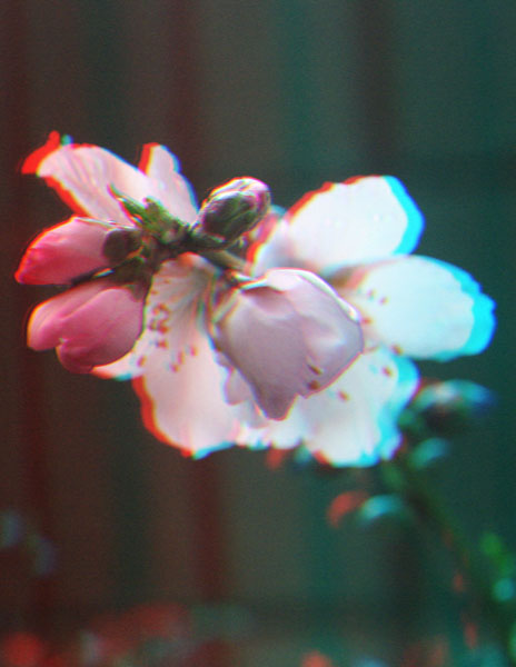 e0077517_17424674.jpg