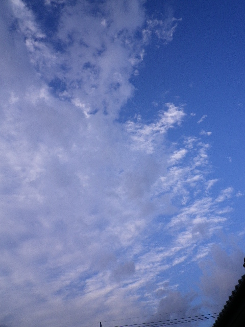 d0193224_22305773.jpg