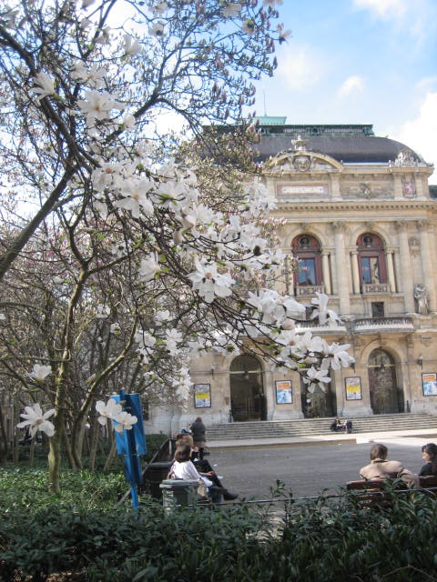 b0167334_2551593.jpg