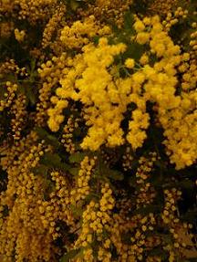 c0225143_22233169.jpg