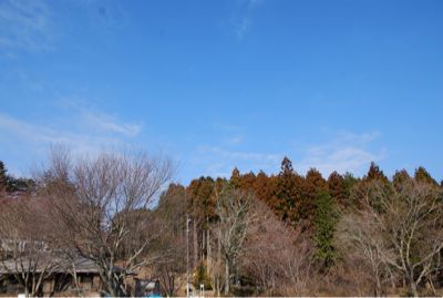 e0126046_2316582.jpg