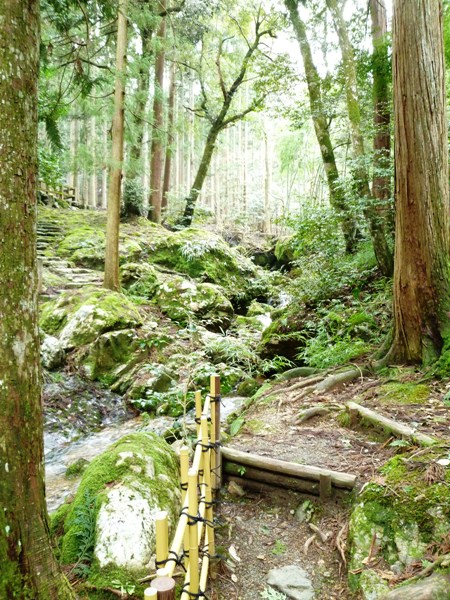 e0138560_1058970.jpg