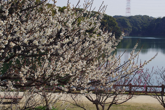 e0213360_2242912.jpg