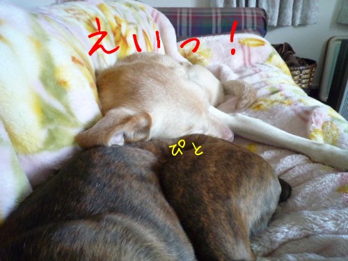 f0177261_12234412.jpg