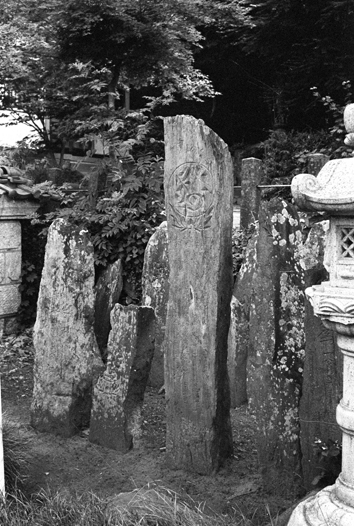 e0018762_9312058.jpg