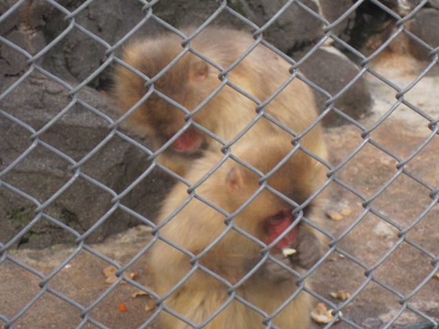 c0202870_1554461.jpg