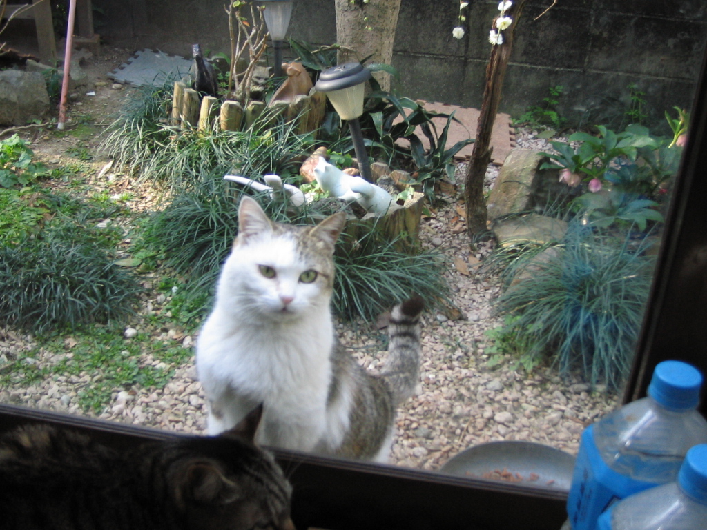e0031572_20123772.jpg