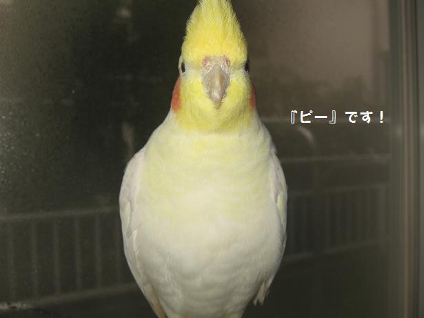 e0027078_15405346.jpg