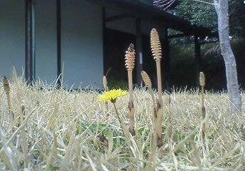 f0215179_1033652.jpg