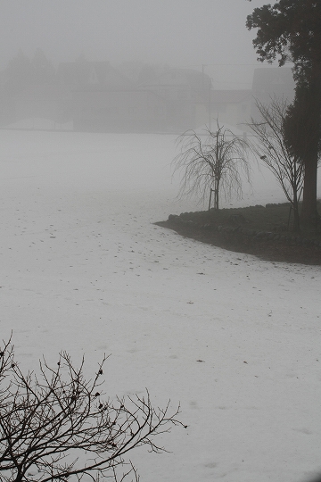 b0093385_21332662.jpg