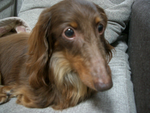 d0227686_8402839.jpg