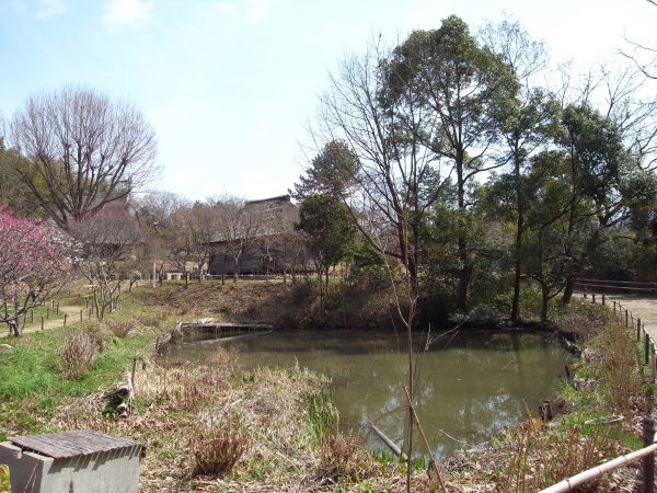 c0132387_07223.jpg