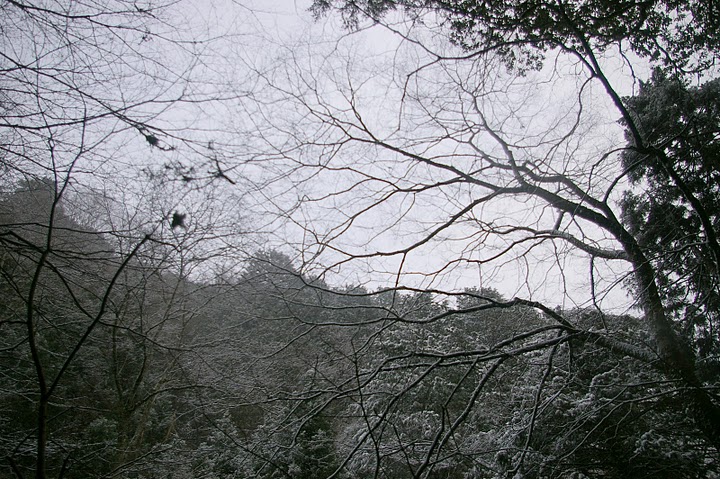 f0237689_3415612.jpg