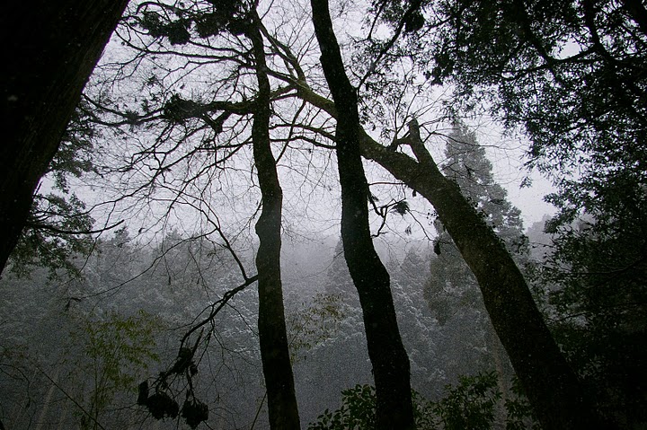 f0237689_3491013.jpg