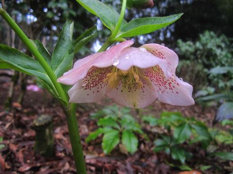 f0106692_13555760.jpg